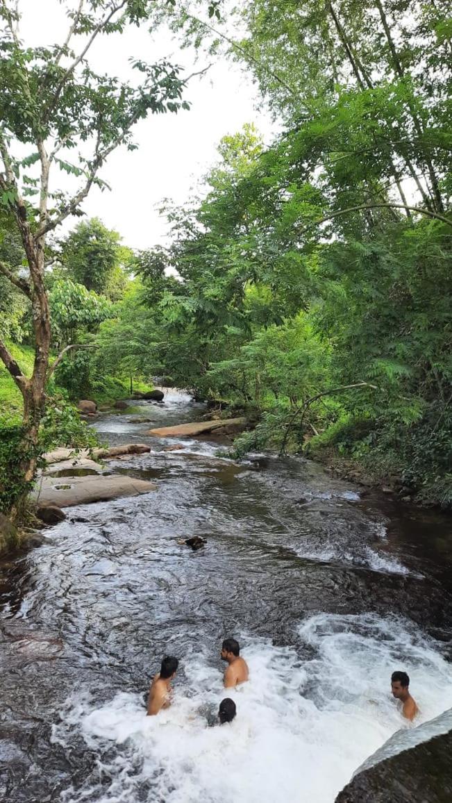 Hotel Wildglamps Athirappilly Esterno foto