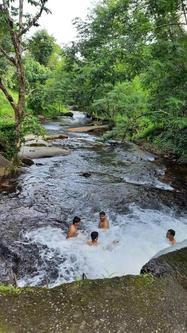 Hotel Wildglamps Athirappilly Esterno foto